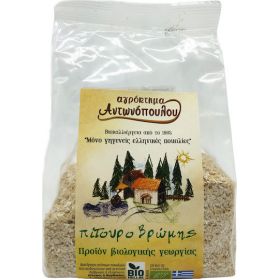 Πίτουρο βρώμης Ελληνικό Bio 300gr (ΑΝΤΩΝΟΠΟΥΛΟΣ)
