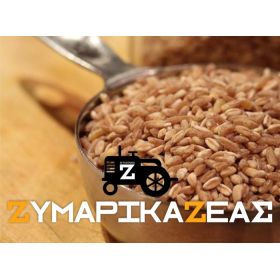 ΖΥΜΑΡΙΚΑ ΖΕΑΣ