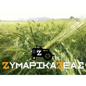 ΣΙΤΑΡΙ ΖΕΑΣ