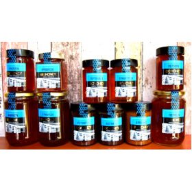 ΑΓΝΟ ΜΕΛΙ BIOHONEY