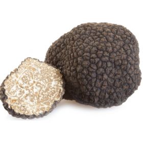 Wild Black Truffles (Museum Meteora)