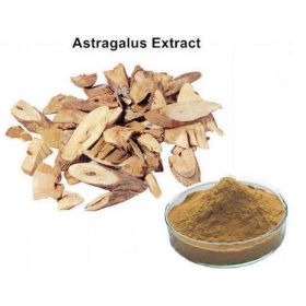 Organic Astragalus Powder Bio